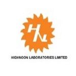highnoon logo